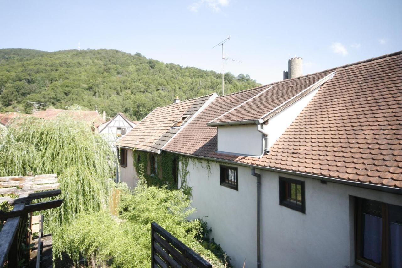Appartement Le Keiler Kaysersberg-Vignoble Exteriér fotografie
