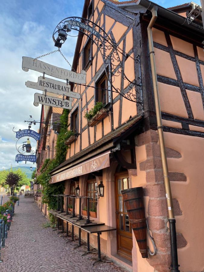 Appartement Le Keiler Kaysersberg-Vignoble Exteriér fotografie
